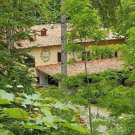 Agriturismo Fonte Magria Abbadia San Salvator Esterno foto